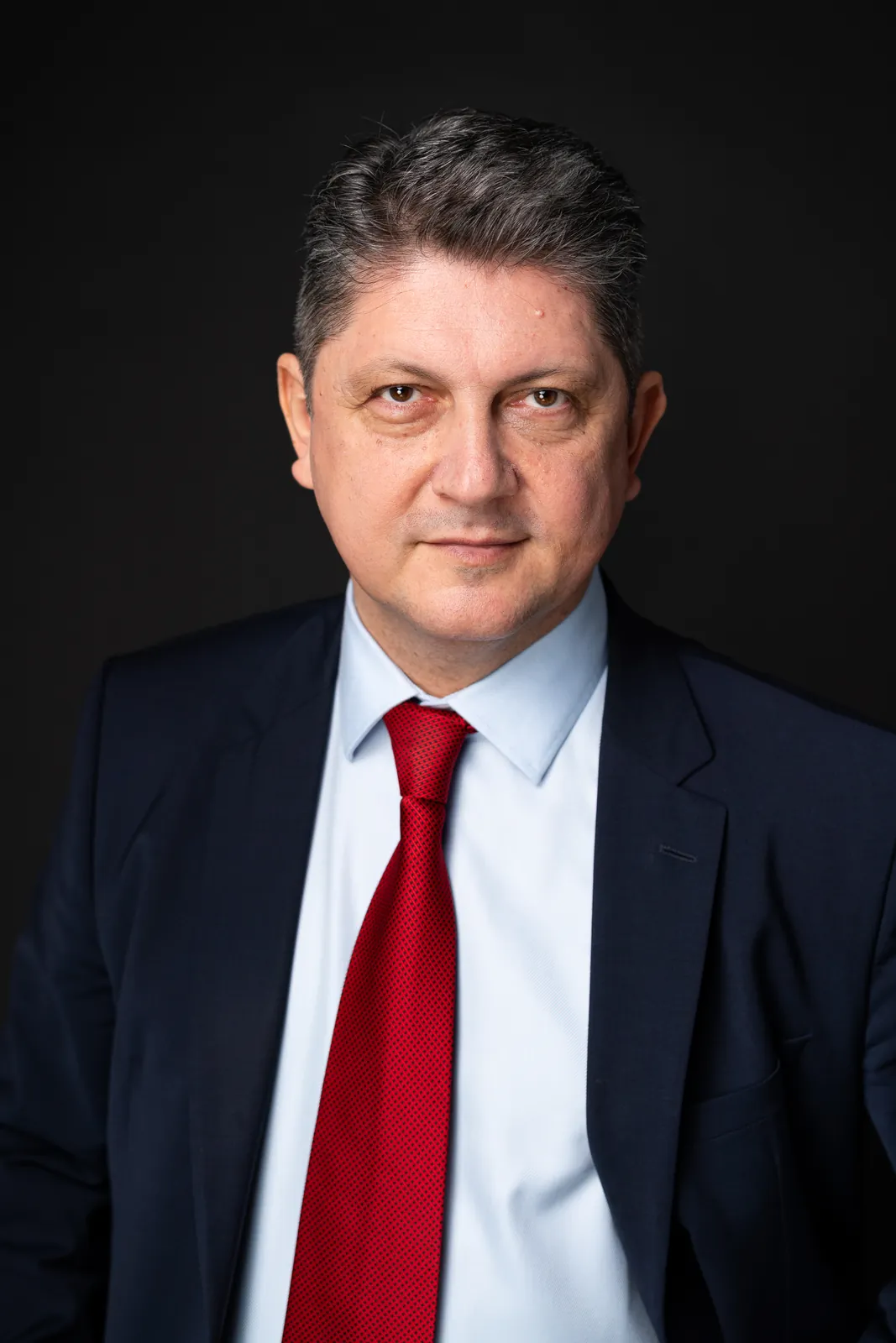 Titus Corlățean, portret oficial